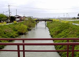 20100428tenjyo (06).jpg
